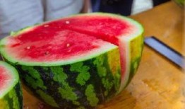 学校瓜在线免费吃瓜,免费瓜果等你来尝